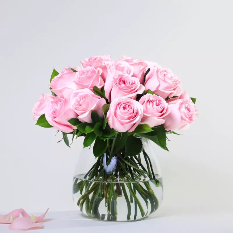 Jadore Simply 24 Light Pink Roses
