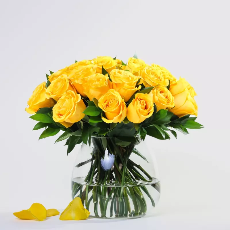 Jadore Simply 24 Yellow Roses