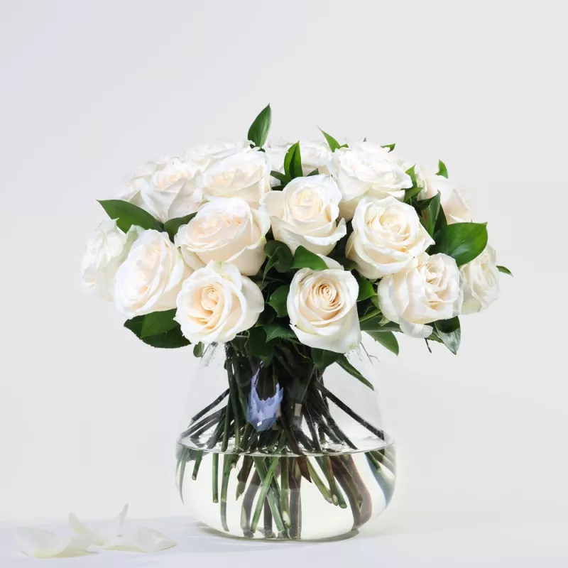Jadore Simply 24 White Roses
