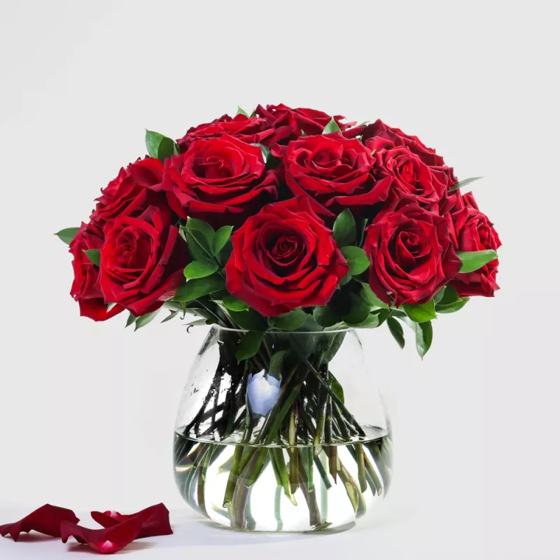 Jadore Simply 24 Red Roses