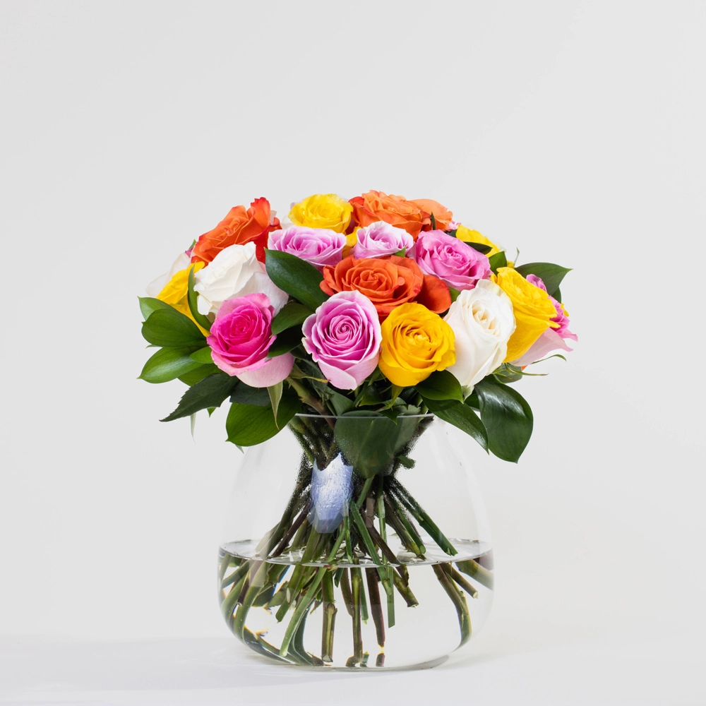 Simply 24 Multicolor Roses