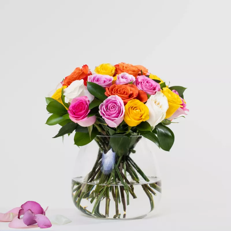 Simply Beautiful Roses Simply 24 Multicolor Roses - Simply J'Adore Florist