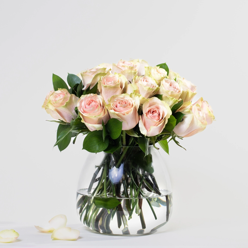 Simply 24 Peachy Pink Roses