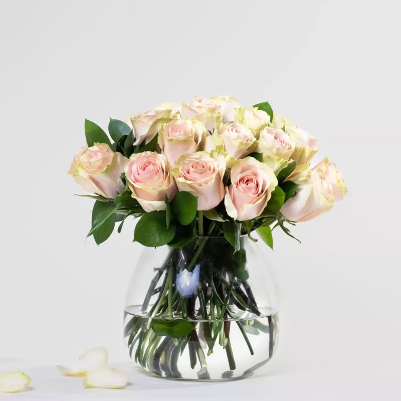 Simply Beautiful Roses Simply 24 Peachy Pink Roses - Valentine's Day - Simply J'Adore Florist