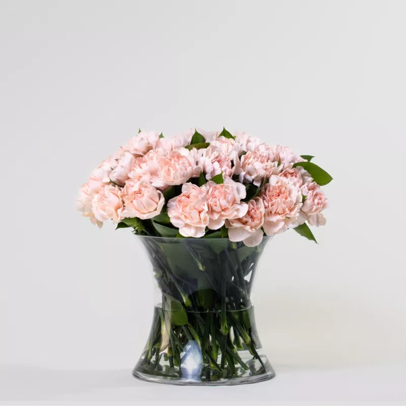 Jadore Simply Pink Carnations