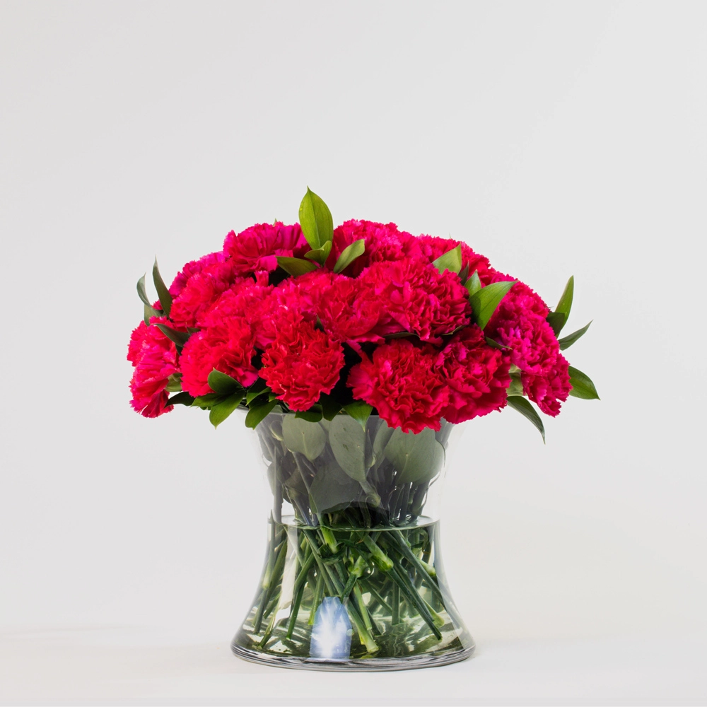 Simply 30 Red Carnations