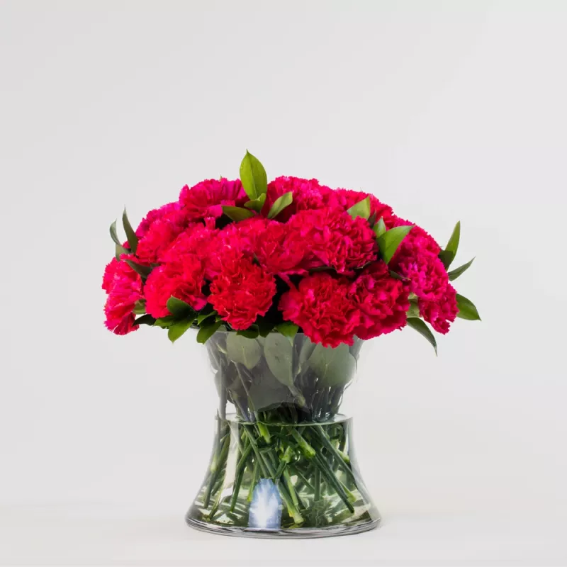 Jadore Simply 30 Red Carnations