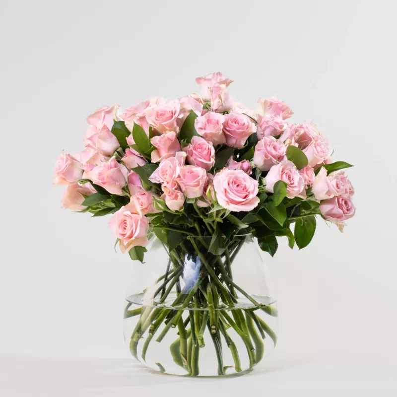 Jadore Simply Light Pink Baby Roses