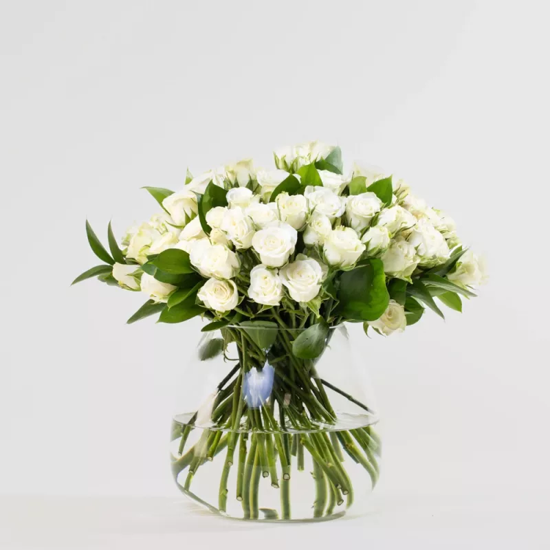 Jadore Simply White Baby Roses