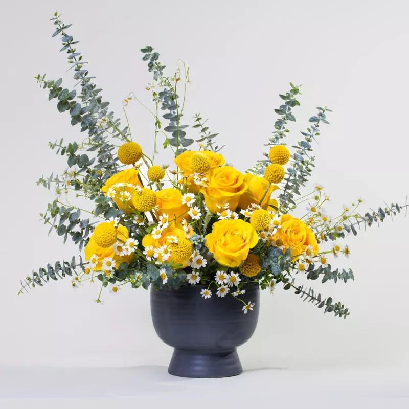 Jadore Simply Sunny