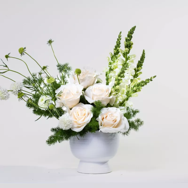 Jadore Simply Cherished