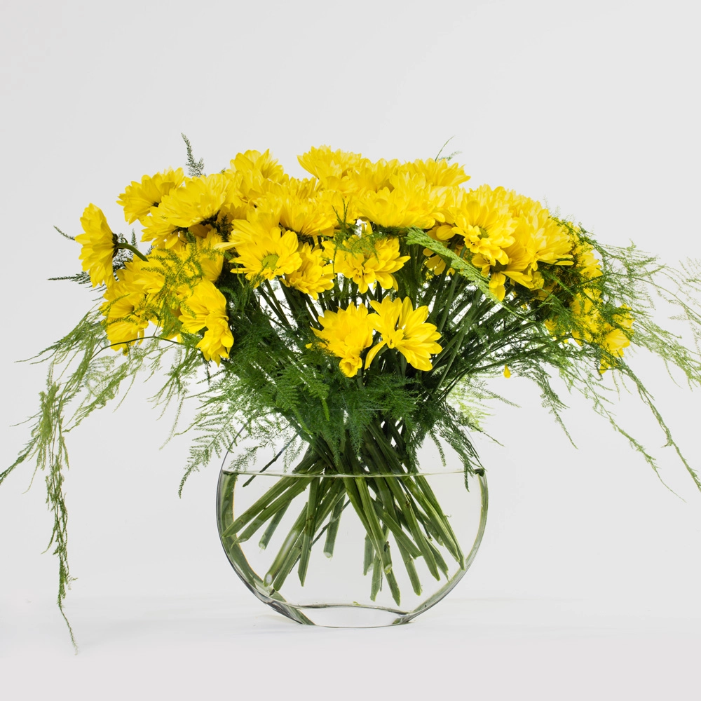 Simply Yellow Daisies