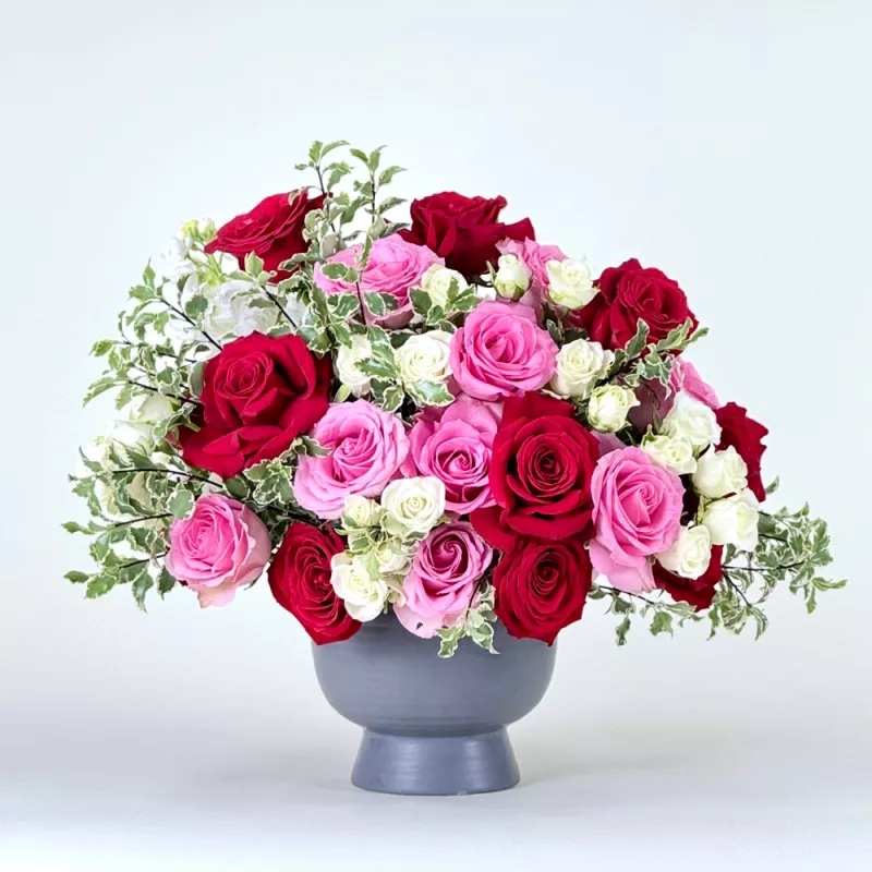 Jadore Simply Pink and Red Harmony