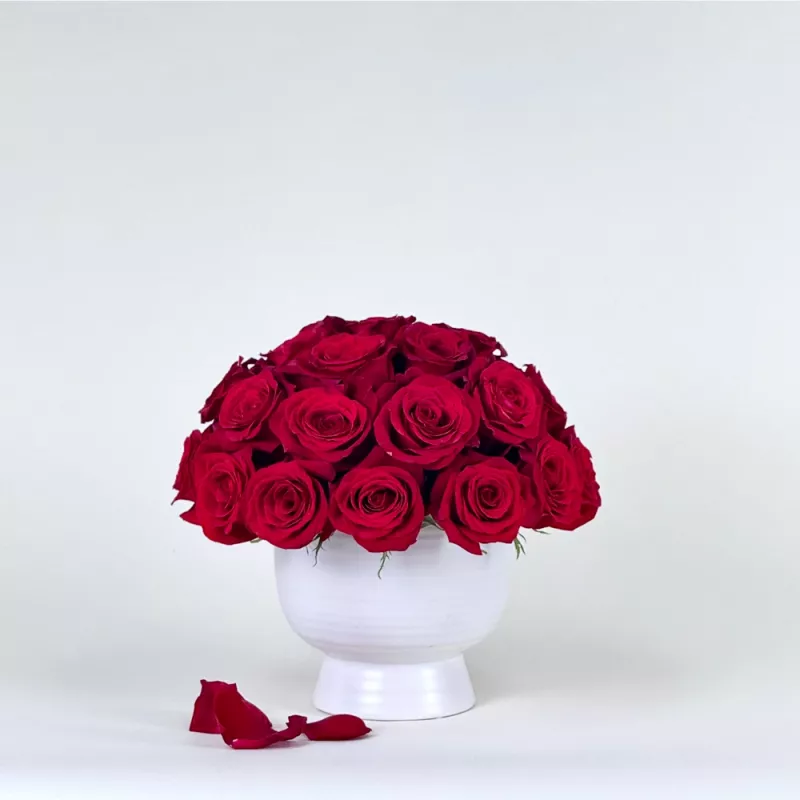 Jadore Simply Rose Dome