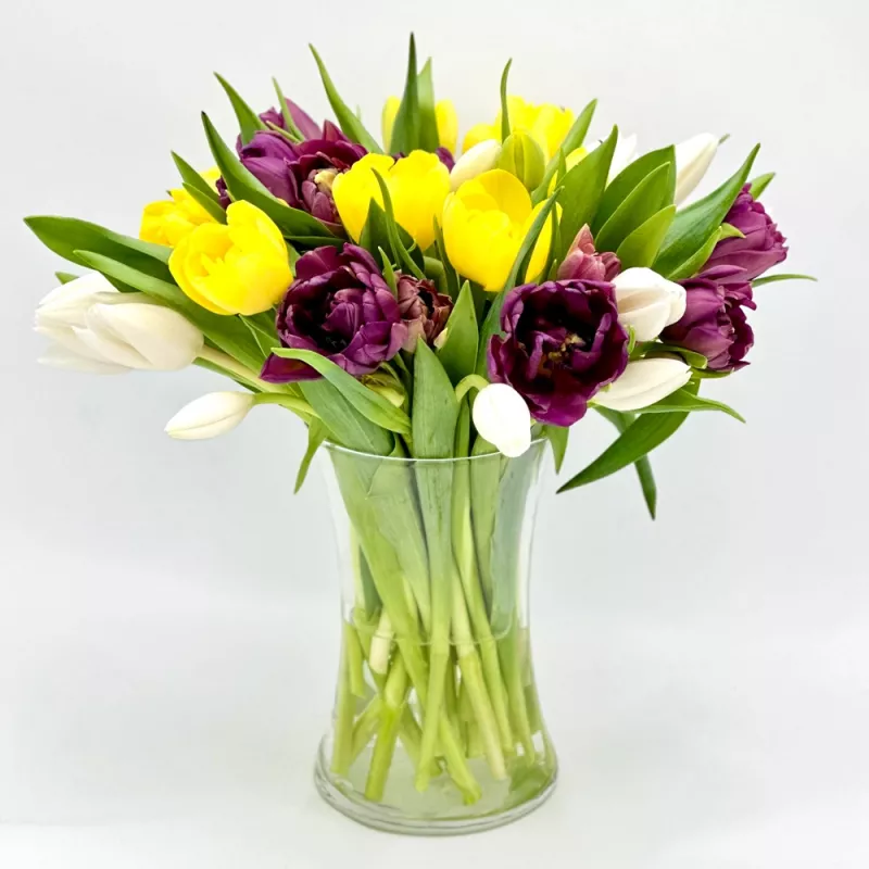 Jadore Simply Multicolor Tulips