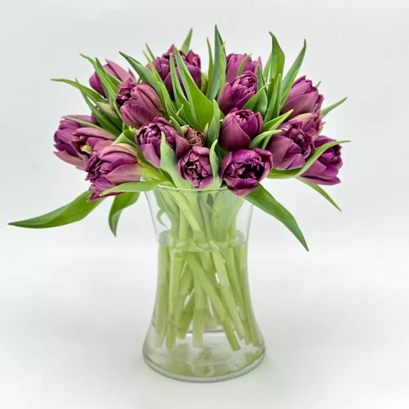 Jadore Simply Tulips