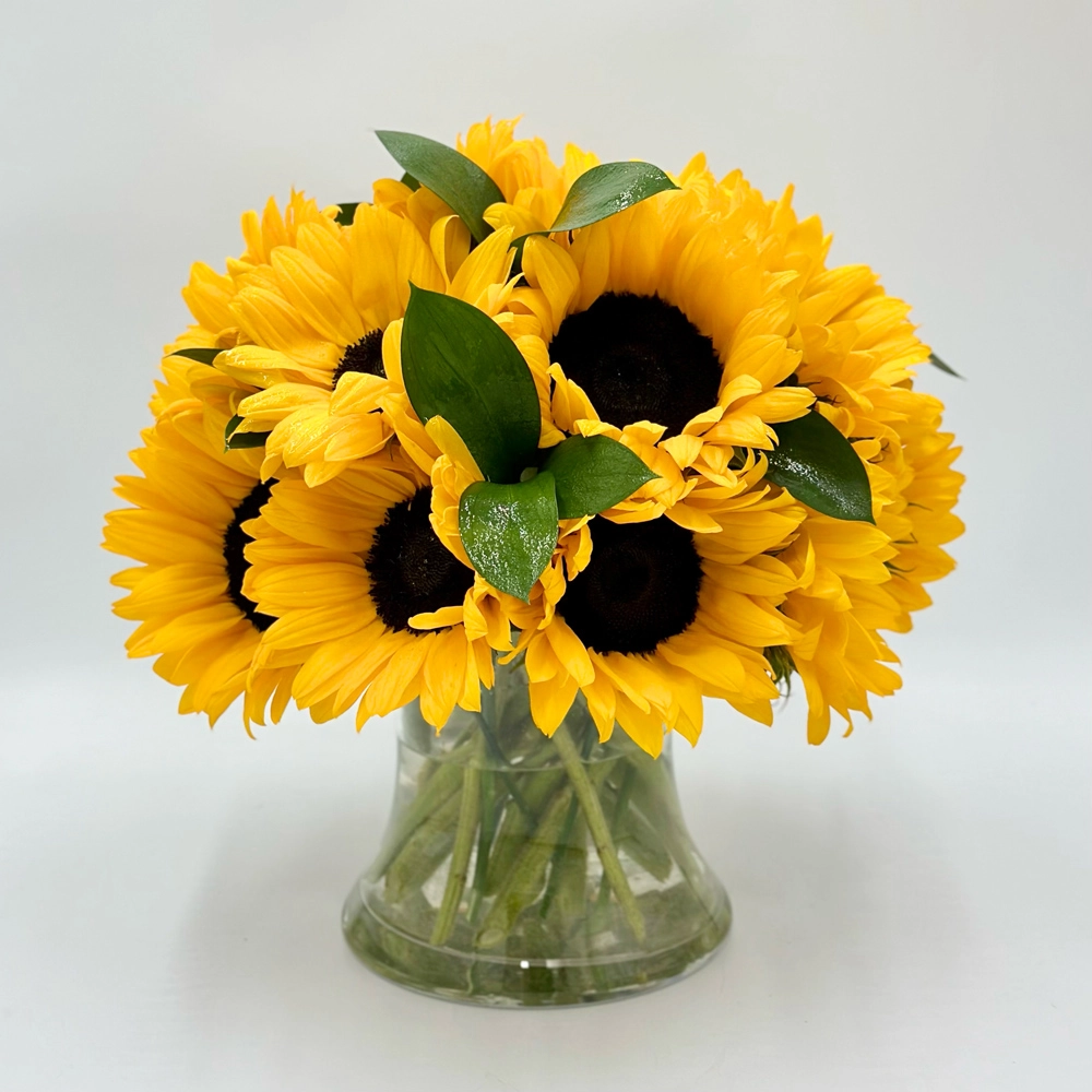 Simply Sunflowers