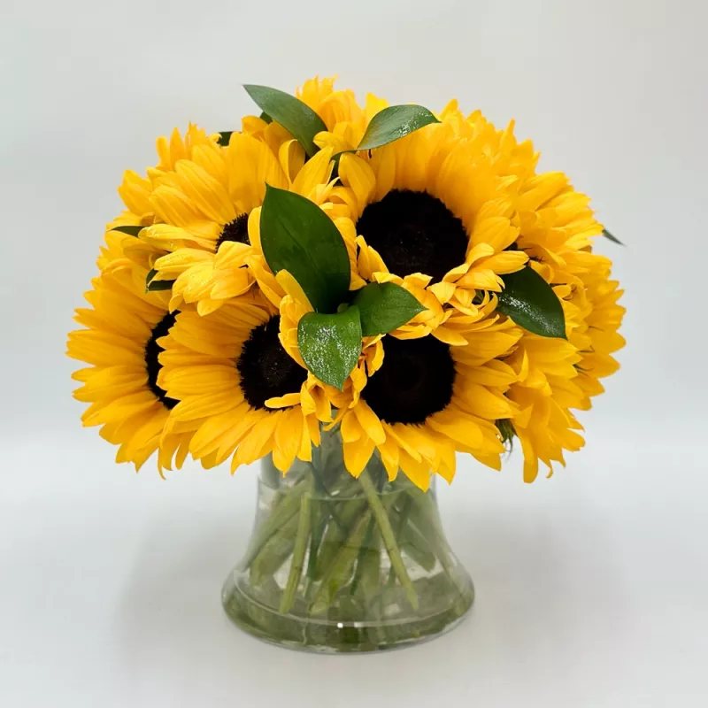 Jadore Simply Sunflowers