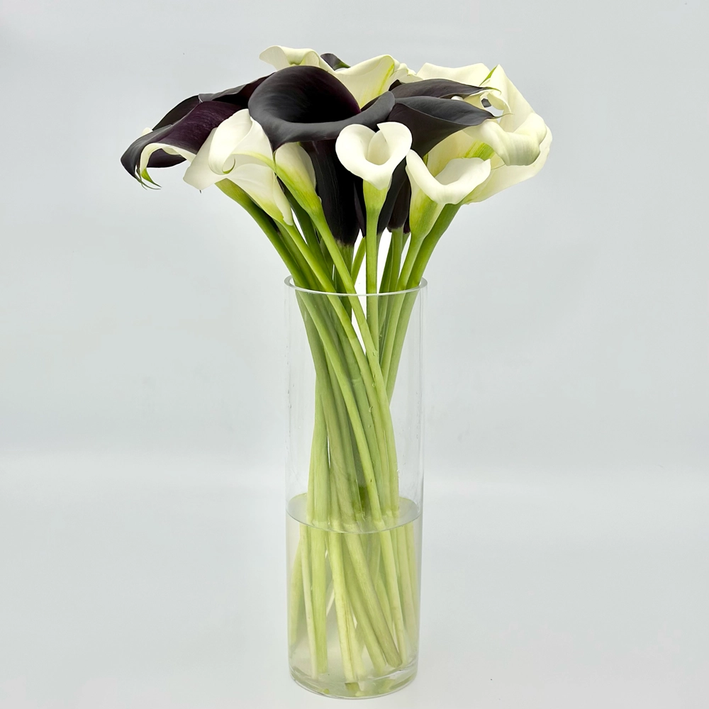 Simply Calla Lilies