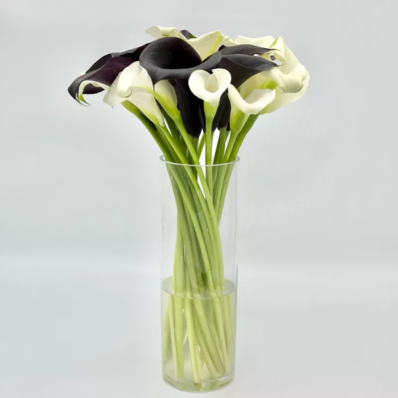 Jadore Simply Calla Lilies