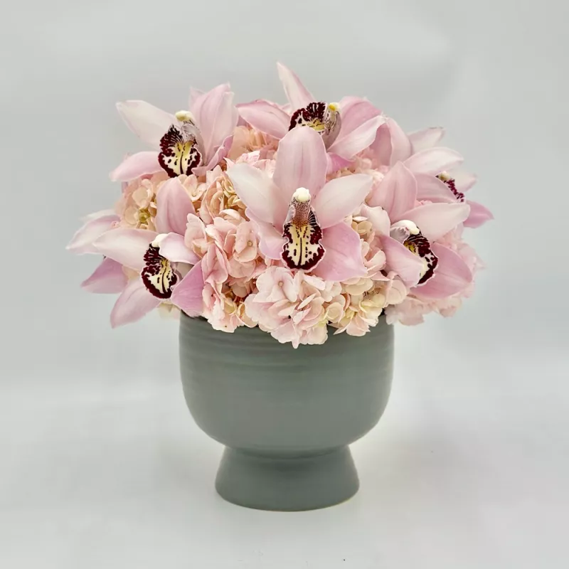 Jadore Posh and Premium