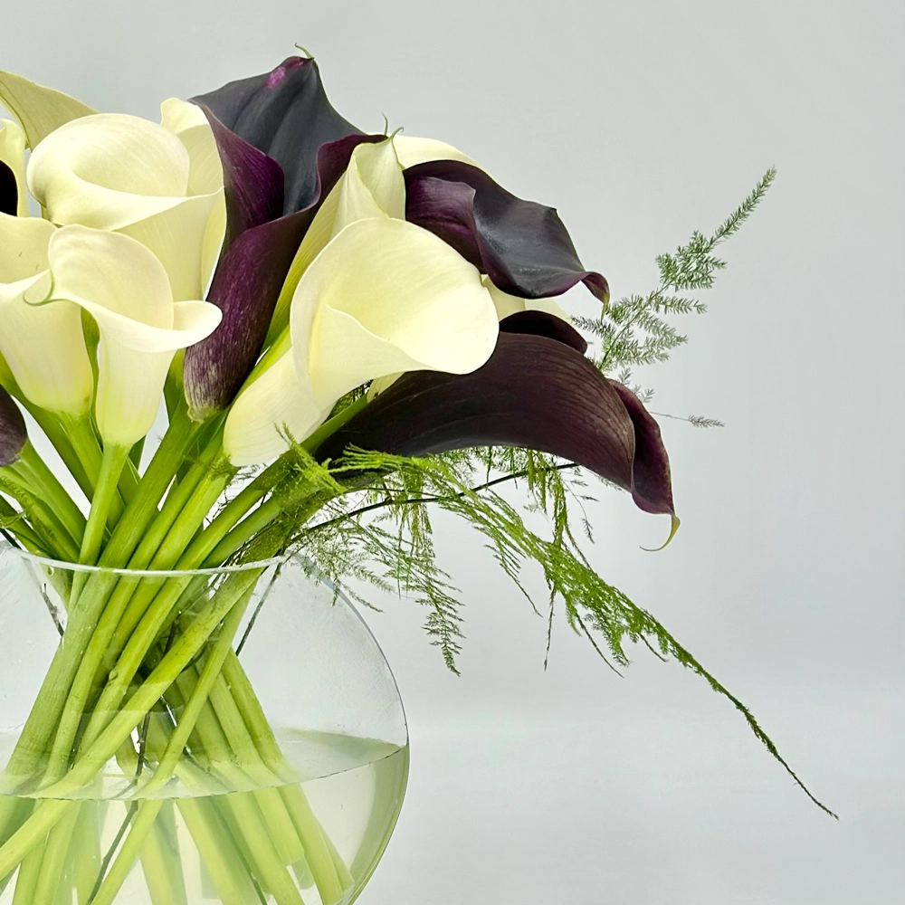 Simply Calla Love