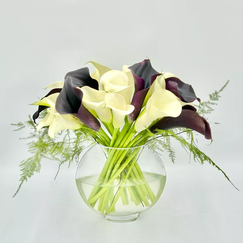 Jadore Simply Calla Love