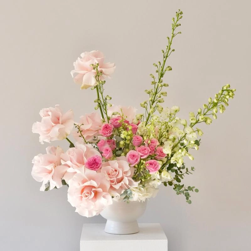 Jadore Pink Maison